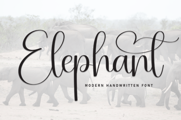Elephant Typeface: A Designer’s Review for Digital Branding
