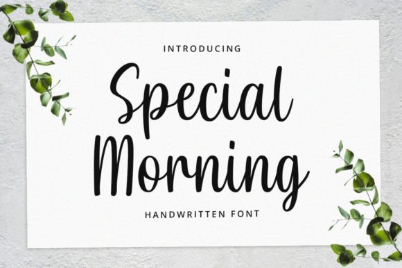 Special Morning Handwritten Typeface Review
