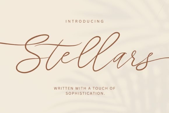 Stellars Handwritten Script Font: Elevating Brand Identity with Grace